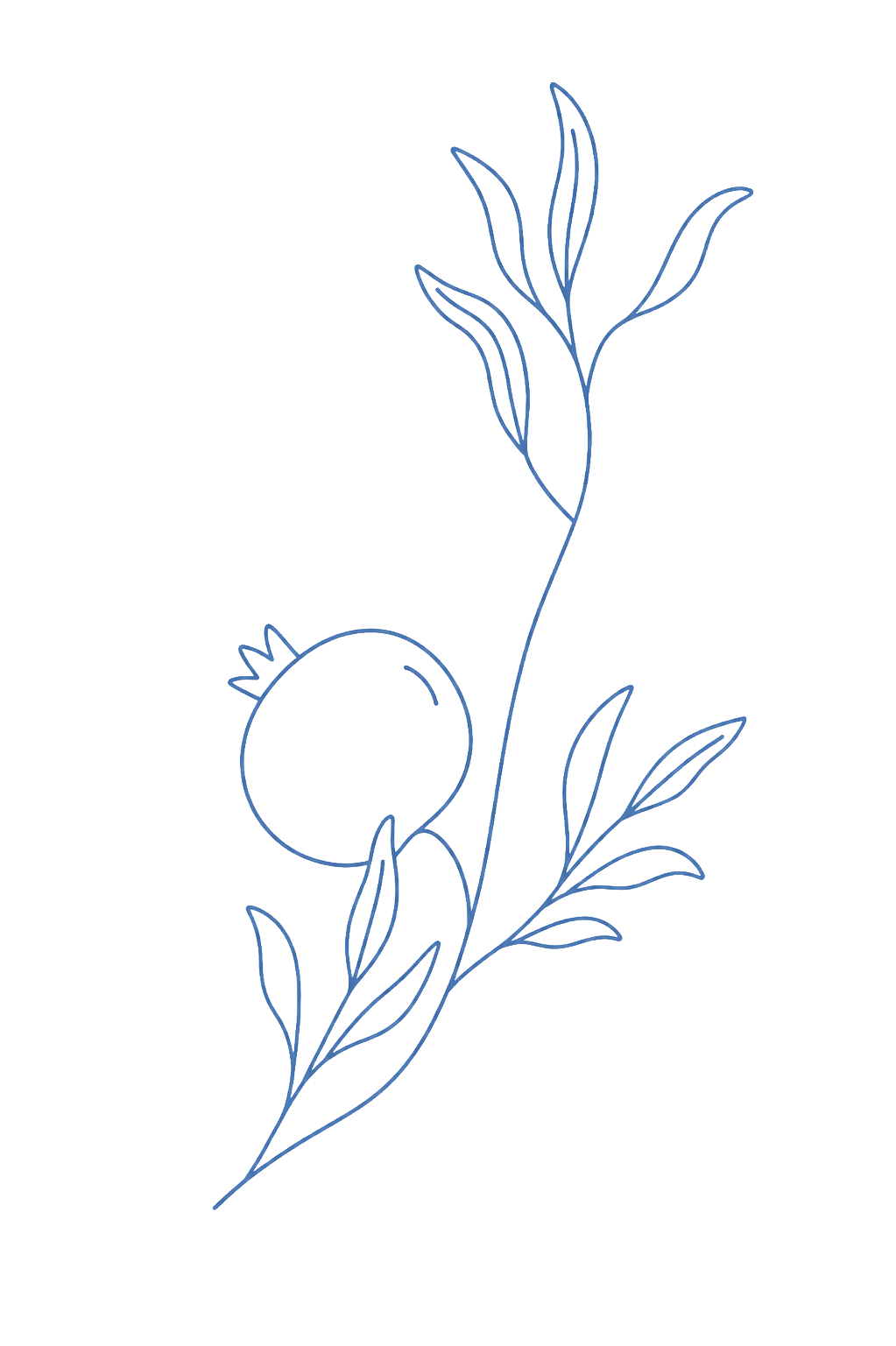 pomegranate-decoration